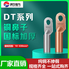 廠家直銷DT銅鼻子接線端子國標非標紫銅鍍錫電纜銅接頭銅端子線耳