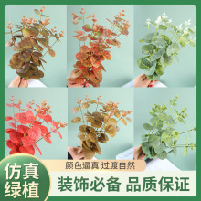 尤加利仿真金錢葉綠植仿真婚慶配材家居裝飾拍照道具尤加利仿真