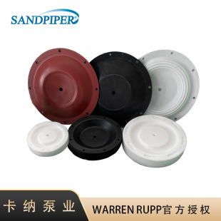 SANDPIPER/ٰ۵¡RĤƬĤٰ۵ɽĤƬĥ