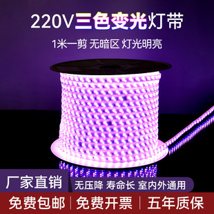 ledˮ220vɫ׃޺lҹД[Ʋʟl