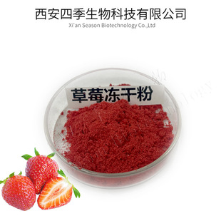 草莓凍干粉 冷凍干燥烘焙原料 草莓提取物1公斤起訂