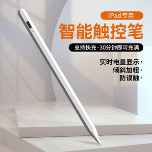 ʽݹPipad pencil|عPmappleOƽL֌P