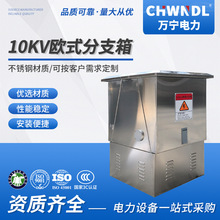 供應10KV高壓電纜分支箱歐式戶外不銹鋼一進一二三四五出開閉所