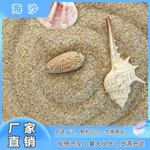 廠家直發海沙兒童娛樂沙子水族造景沙人造沙灘枯山水造景海沙批發