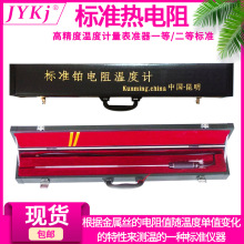 WZPB-1 2 二等標准熱電阻 二等標准鉑電阻溫度計 一等標准鉑電阻