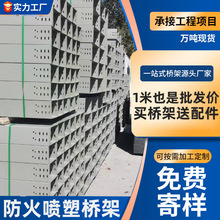 現貨防火橋架廠家 防火電纜噴塑槽式橋架200*100戶外多孔梯式橋架