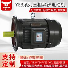 衡水電機廠家定制生產YE3-4極2.2-220KW高效三相異步電動機