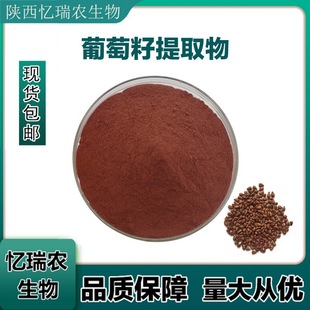 葡萄籽提取物98%原花青素OPC葡萄籽粉 資質齊全量大從優