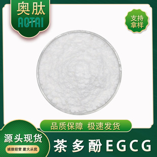 EGCG98% WĹ ]ʳӃ  F؛ֱl ] 100g/