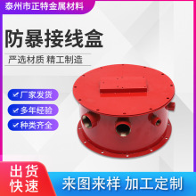 加工定制接線盒多年經驗廠家供應多種規格防暴接線盒