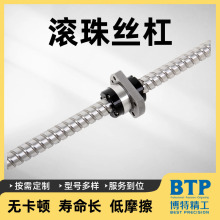 汽車生產線塗裝機器人傳動絲桿 驅動工作台用雙螺母軋制滾珠絲杠