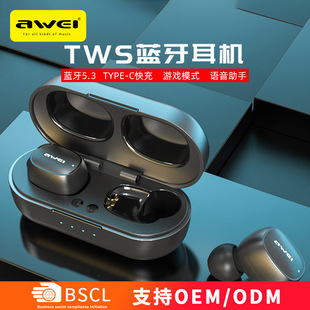 AWEIþS羳ԃrȟoTWS{5.1CmO羳oC