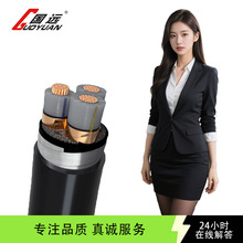 YJV國標純銅電纜線工程電力阻燃防水銅芯電纜聚氯乙烯絕緣電纜線