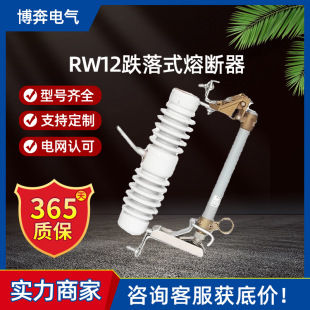 ʽ۔RW12-15/100A200A10KV绡۽zմ˱U_P