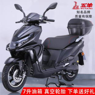 全新正品五羊牌踏板車摩托車新款國四電噴可上牌燃油外賣車省油車
