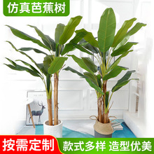 仿真芭蕉樹旅人蕉假綠植盆栽擺件室內盆栽花盆裝飾盆景假樹制作