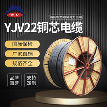 【規格齊全】天環 ZC-YJV22 國標低壓鎧裝銅芯阻燃電纜線