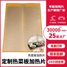 廠家定制熱菜板發熱膜飯菜保溫板發熱片店自助餐廳暖菜板電熱膜