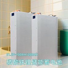 太陽能風光互補壁掛式磷酸鐵鋰電池大容量100AH/200AH供電儲能