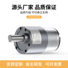 GB37-520微型直流減速電機機器人大扭力6v12v24v調速高速小電動機