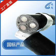 沈陽電纜廠家直銷國標阻燃低煙無鹵銅芯鎧裝電力電纜WDZA-YJY43