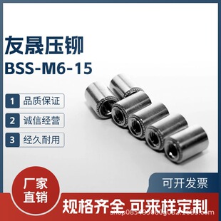 BSS M6-15-1.2/1.4 A׼ֱUĸSֱTĸˮĸ