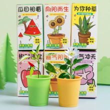辦公室綠植小盆栽兒童桌面迷你神奇植物易拉罐種植盆栽六一節禮物