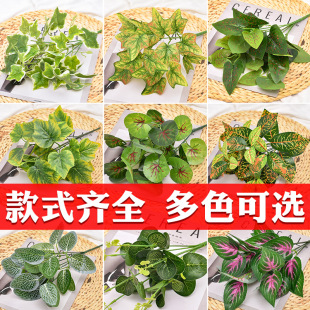 仿真綠蘿地瓜波斯草過膠假綠葉室內植物牆配材綠植小把草裝飾批發
