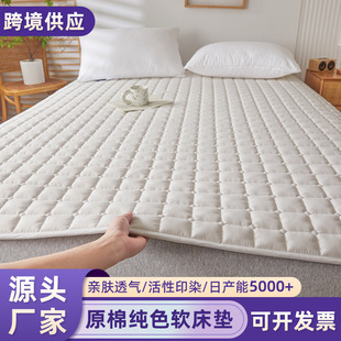 跨境床墊軟墊家用卧室薄款防滑墊褥宿舍學生榻榻米保護墊可機洗