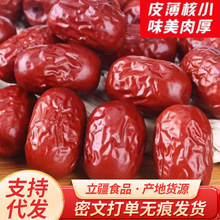 代發新疆若羌紅棗 大個灰棗散裝整箱干棗批發 500g新疆特產紅棗