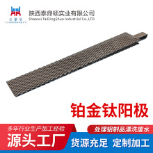 廠家供應釕銥塗層鈦陽極 鉑金鈦網 鉑金電極 鉑電極 水處理鈦電極