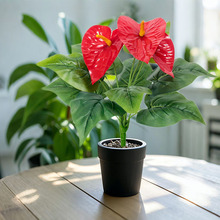 仿真花紅掌成品手工花婚禮布置室內桌面裝扮盆栽節日婚禮塑料綠植