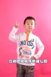 ��Ӧ��Ȼ��ʯ