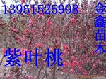 �аټ��û�����Ƶ����MCU+5�᳡Ӳ��=5.5��Ԫ