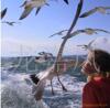 ��Ӧ�����ӡ�����衢����ݲ�