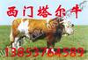 ��Ӧ��˿��ͷ��2·���׷�ˮ��(ͼ)