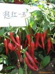 ��Ӧ��ͷճ�ὺ(ͼ)