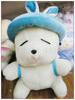 ��Ӧ�ɵ�Сҹ��(ͼ)