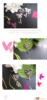 ��Ӧ��������ʽ������(ͼ)