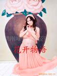 ��Ӧ�캣��ƷPZ573��ɡ���ֵ���բ��