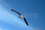 ���мܡ�չ����չʾ��չ�����ġ���Ʒ�񡢰�����