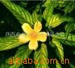 ��ӦFY-104Aȫ�Զ�������