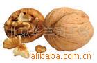��Ӧϴ�»�ģ��