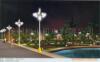 ��Ӧ�������ӣ���ҶС�ޣ���ҶŮ�꣬����ص���ľ
