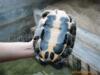 ��Ӧ���ڽ�����ˮ���������Ÿ뽱��