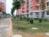 ��Ӧ�ߵ�����Ҿߣ�չ���������������