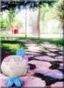 ��Ӧȫ�Զ����ϻ� ������ϻ� ��ݸ���ϻ�