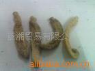 供应时尚PVC充绒吊牌【多款多样】