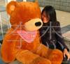 ��Ӧ��ĩұ�����ͼ�