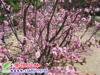 ��Ӧ�˿��ƺ�ӹ� �˿����߶��� �����˿��� �˿���
